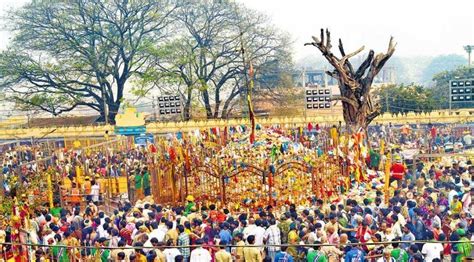 Telangana’s Tribal Fair: Sammakka-Sarakka Jatara - Civilsdaily