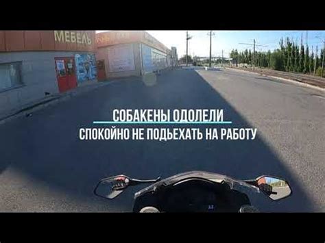 Отпугиватель собак HOONT - YouTube