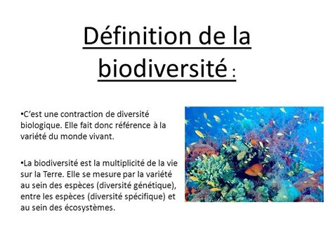 Les trois niveaux de la biodiversité ppt télécharger