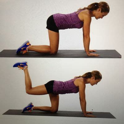 Donkey Kick - Exercise How-to - Workout Trainer by Skimble