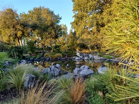 Nos Offres Les Jardins Japonais De Favi Res