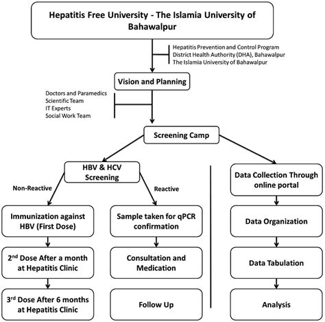 Frontiers Screening Of Hepatitis B And C Viral Infection Recognition