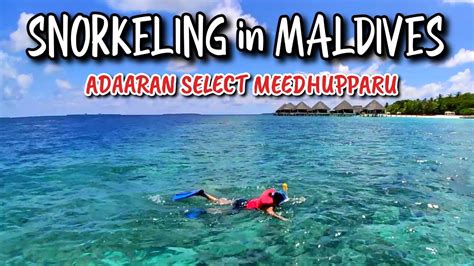 Adaaran Select Meedhupparu Maldives The Best Snorkeling Place On