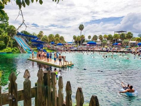 Weeki Wachee State Park The Home Of The Mermaids Our Roaming Hearts