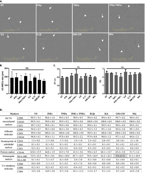 Uc Mscs Characteristics After Pro Inflammatory Priming A Uc Mscs Download Scientific Diagram