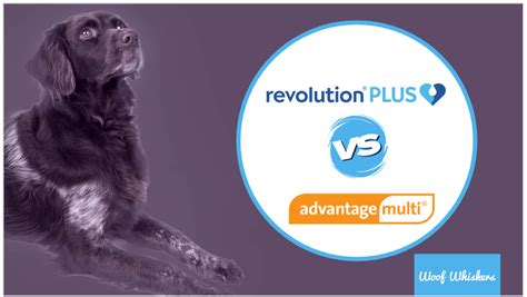 Revolution Vs Advantage Multi Which One Is Better Woof Whiskers