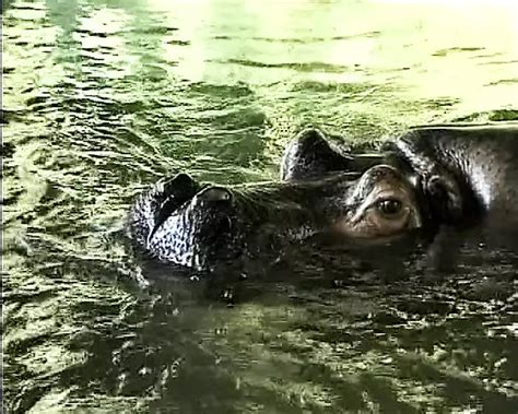 Blonde German Slut Giving Her Tight Holes In The Public XHamster