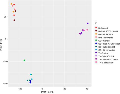 Principal Component Analysis Pca Of The Gene Expression Levels From Download Scientific