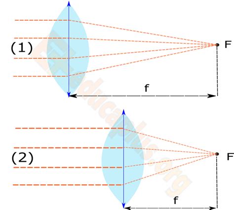 En el mundo de la fisica Luz Refracción y lentes