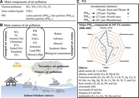 MEDVASC Pollution Et Cardio Oncologie