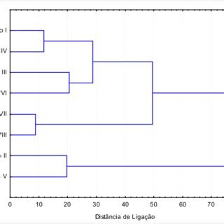 Diagrama De Rvore Da Fam Lia De Staphylinidae Entre Os Oito Pontos De