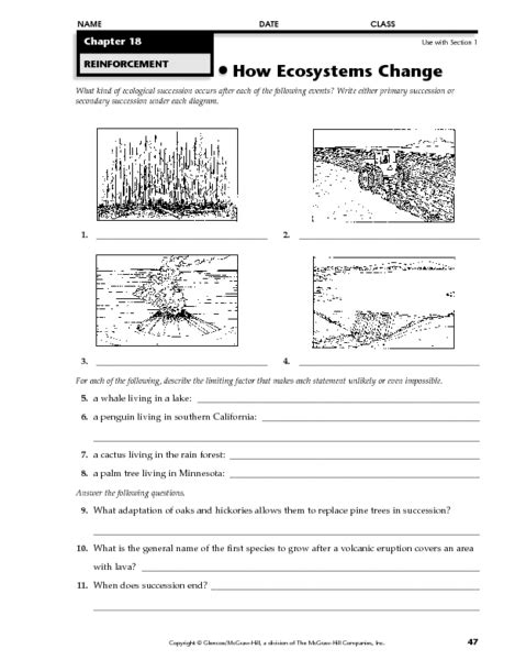 Ecological Succession Worksheets