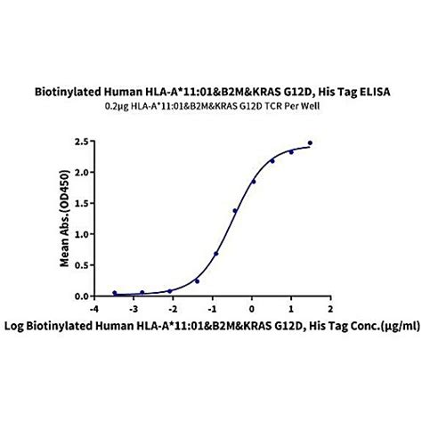 Biotinylated Human HLA A 11 01 B2M KRAS G12D VVVGADGVGK Monomer