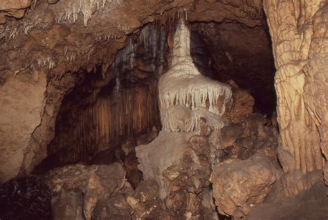 Florida Caverns State Park A Florida State Park Located Near Marianna