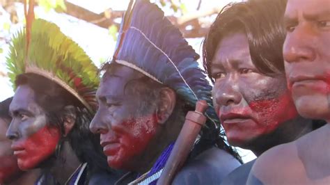 Defending The Amazon Rainforest Standing With Indigenous Peoples