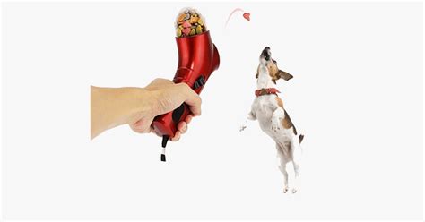 Pet Snack Launcher Remtica Shop