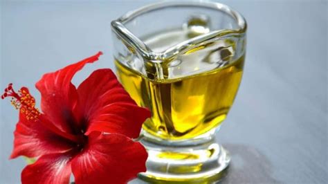 Hibiscus Hair Oil Benefits జుట్టు రాలడాన్ని నివారించడానికి మందార నూనెను ప్రయత్నించండి How To