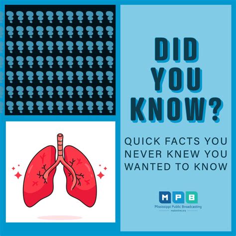 Mspublicbroadcasting On Twitter Didyouknow That The First Human Lung