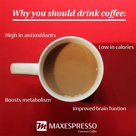 Know The Reasons Why You Should Drink Coffee Conoce Las Razones Por