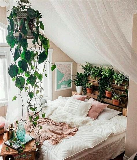 Descobrimos Quais S O As Plantas Perfeitas Para Ter No Quarto Steal