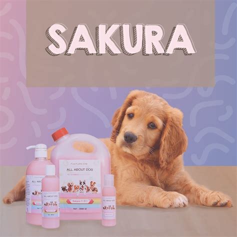 Pet Paradise Store (@petparadise_id) • Instagram photos and videos