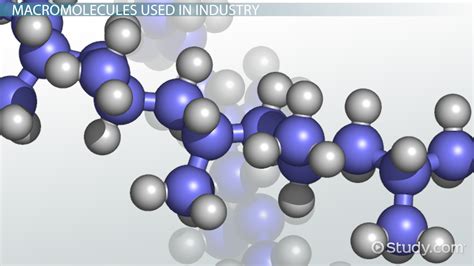 Macromolecules Definition Types And Uses Lesson