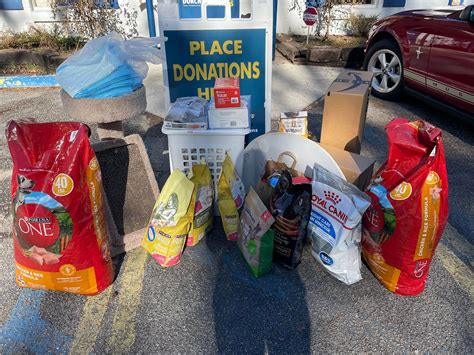 summerville animal hospital 3