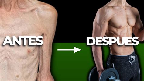 Guía Completa Para Ectomorfos Cómo Ganar Músculo Rapidamente YouTube