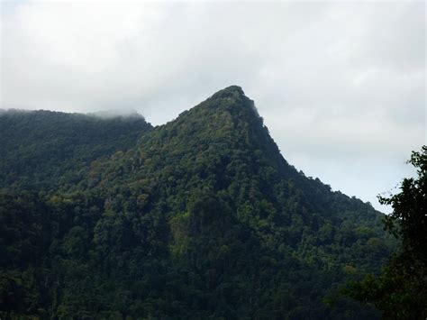 Trinidad And Tobago Mountains