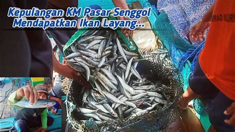 Kepulangan KM Pasar Senggol Mendapatkan Ikan Layang 21 02 2024