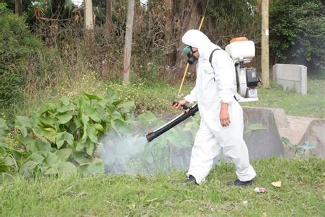 Uf0161 Operaciones Auxiliares De Abonado Y Aplicación De Tratamientos