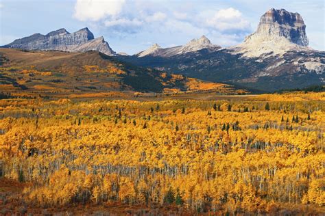 Autumn Fall In Glacier Park Enjoy Your Parks