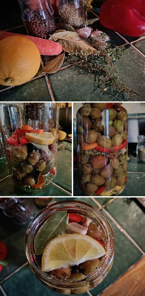spain: aceitunas – Endless Mile