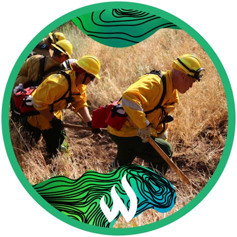 Firefighting Techniques To Prevent The Spread Of Wildfires Wfca