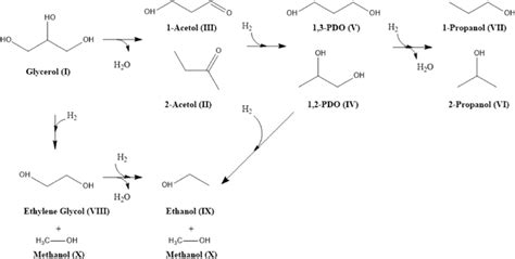 Reaction mechanism for selective glycerol hydrogenolysis. 13 Adapted... | Download High-Quality ...