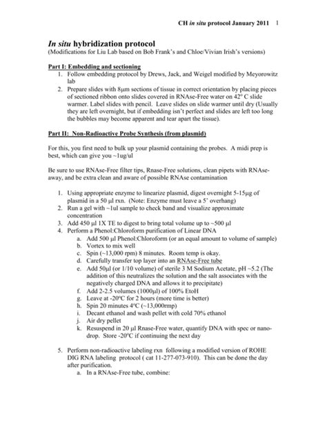 In situ hybridization protocol