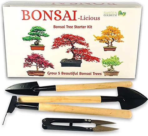 Bonsai Tree Kit Grow Your Own Bonsai Trees Gardening Gift Set