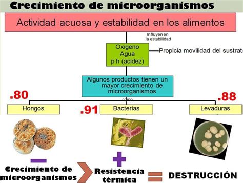 Microbiología De Los Alimentos