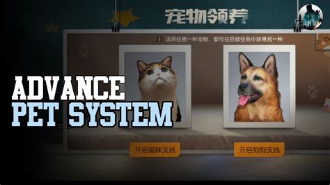 Undawn Advance Pet System Explanation Youtube