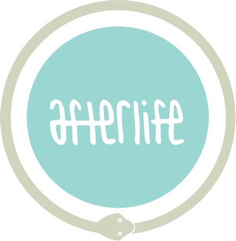 afterlife mfgco // upcycled skateboards and stuff