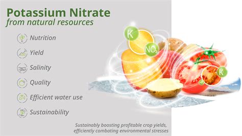 The 6 Main Benefits Of Potassium Nitrate Sqm Specialty Plant Nutrition