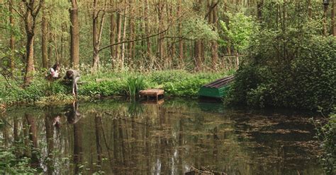 Vuile Handen Schone Handel De Opmars Van Voedselbossen En