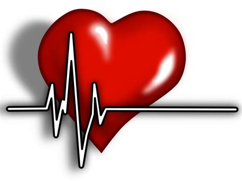 Heart ECG Logo - Openclipart