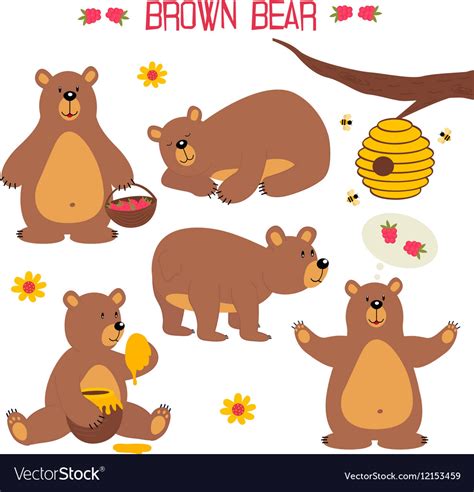 Set Isolated Brown Bear Royalty Free Vector Image