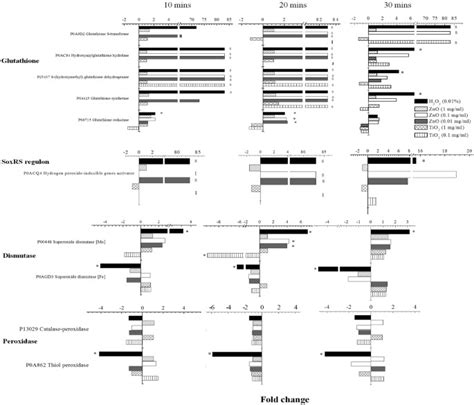 Toxicity Of Zno And Tio2 To Escherichia Coli Cells Scientific Reports