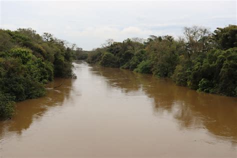 Nível do Guaíba afeta Rio dos Sinos confira a situação em cidades da