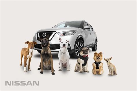 Nissan Sentra 2016 Ya En México Precios Y Versiones Autos Actual México