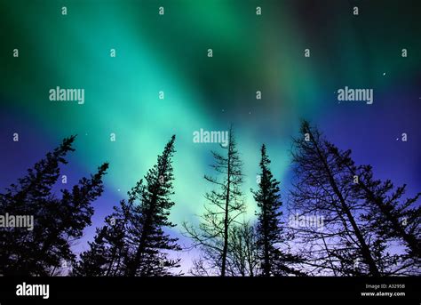 Aurora Borealis Churchill Manitoba Canada Stock Photo - Alamy