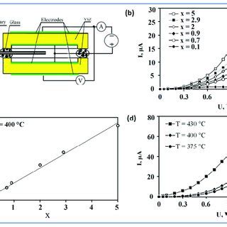 A Schematic Representation Of An Amperometric Sensor Reproduced With