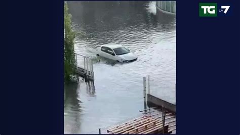 Alluvione Dubai Il Salvataggio Del Gatto Aggrappato Alla Portiera Di